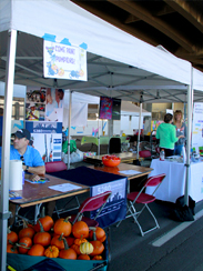 Photo of mural artwork painted under the I-70 viaduct during the 'duct-work Event (September 30, 2016).
