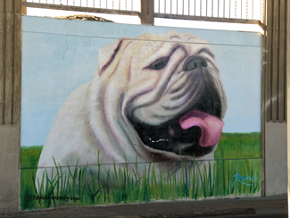 Photo of final mural artwork painted under the I-70 viaduct during the 'duct-work Event (October 6, 2016).