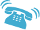 Telephone Town Hall Meetings (telephone icon)