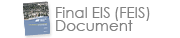 Reports - Final Environmental Impact Statement (FEIS)